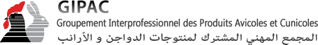 logo2