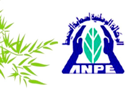 anpe