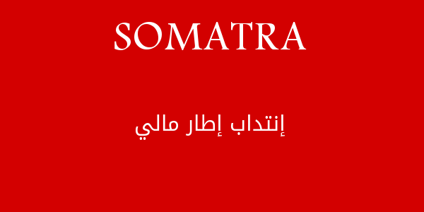 somatra cadre financier