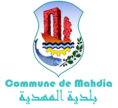 mehdia logo a601f